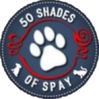 50shadesofspay.co.za